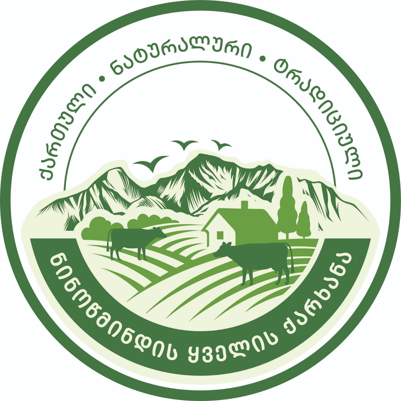 ნინოწმინდის ყველის ქარხანა Photo